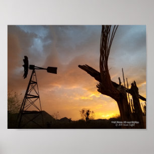 Poster Windmill Saguaro Cactus Skeleton Arizona Sunset