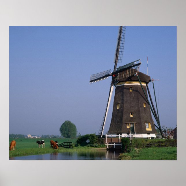 Poster Windmills, Leidschendam, Pays-Bas (Devant)