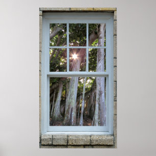 Poster Window view Banyan tree Starburst Print