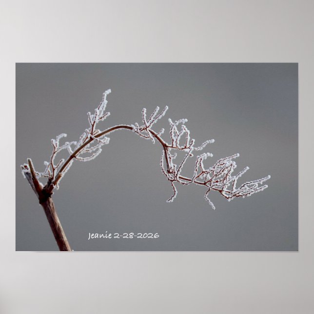 Poster Winter Frosted branch (Devant)
