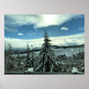 Poster Winter in the Tillamook State Forest, Oregon