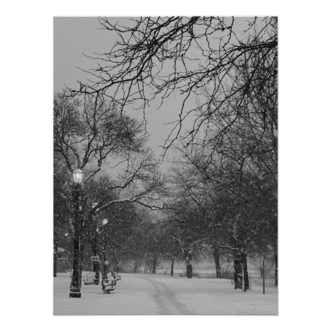 Poster Winter Path (Devant)