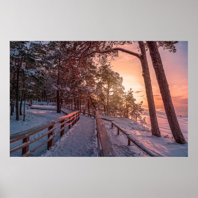 Poster Winter sunset in pine forest near sea (Devant)