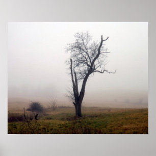 Poster Winter Tree in Foggy Meadow #2