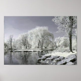 Poster Winter Wonderland