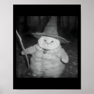 Poster Wizard Cat Weird Drôle Halloween Cat Meme