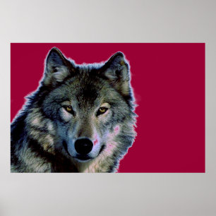 Poster Wolf