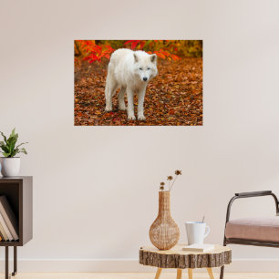 Poster Wolf de l'esprit d'automne