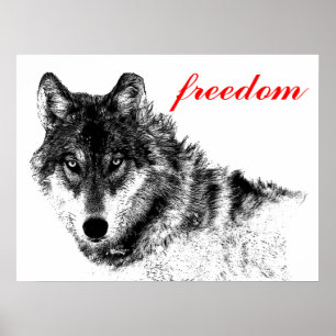 Poster Wolf Freedom Motivational Inspiration