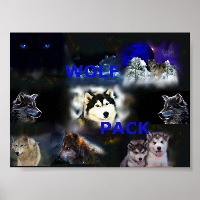 Poster Wolf Pack (Devant)