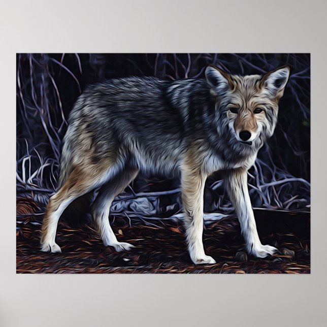 Poster Wolf Wolves Belle aquarelle (Devant)