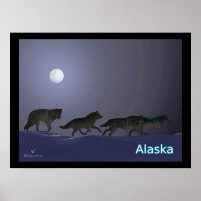 Poster Wolfpack (Devant)