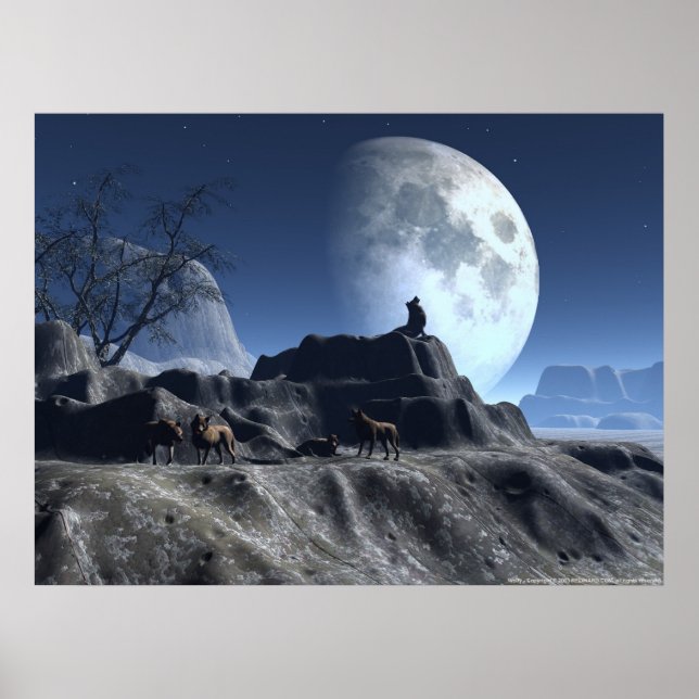 Poster Wolfy (Devant)