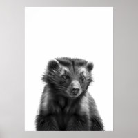 Wolverine Woodland moderne Portrait noir blanc