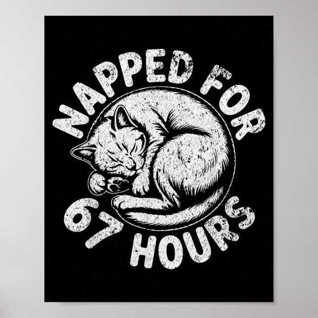 Poster Women Napped For 67 Hours Funny Cat Lover Owner Gi (Devant)