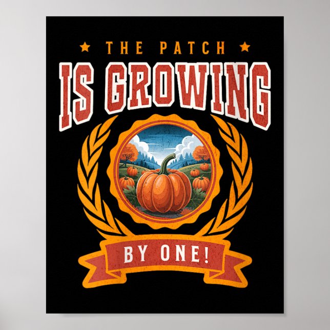 Poster Womens Pumpkin Pregnancy Annnouncement Baby Reveal (Devant)