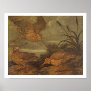 Poster Woodcock au crépuscule, c.1676 (huile sur la