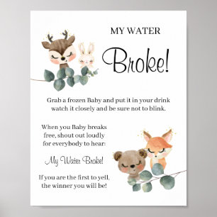 Poster Woodland My Water Broke Baby shower signe de jeu