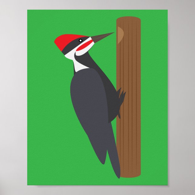 Poster Woodpecker (Devant)
