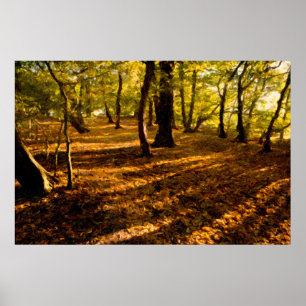 Poster Woods