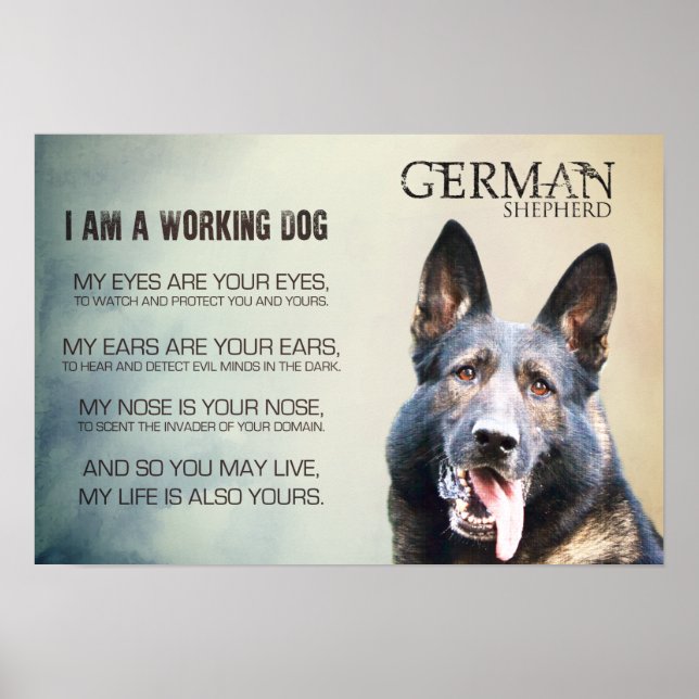 Poster Working German (Devant)