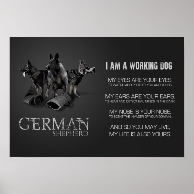 Poster Working German (Devant)