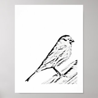 Poster - Wren zu Farbe