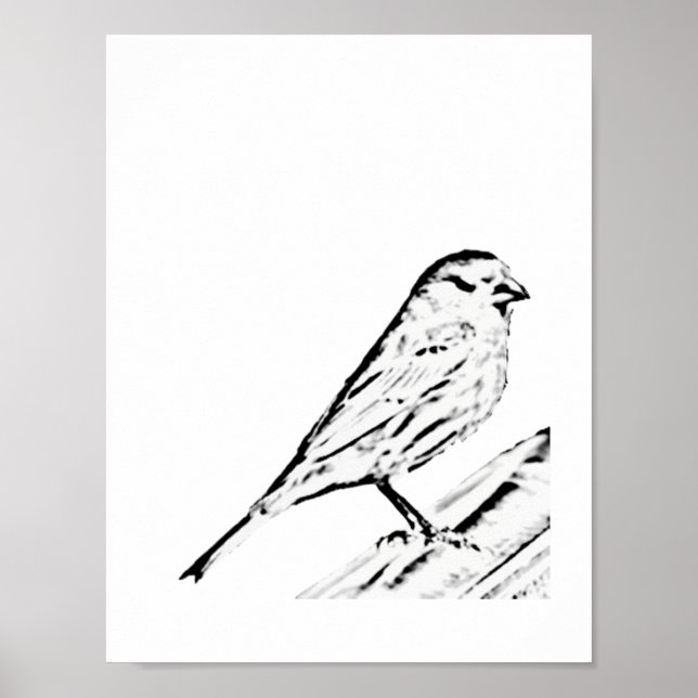 Poster - Wren zu Farbe (Vorne)