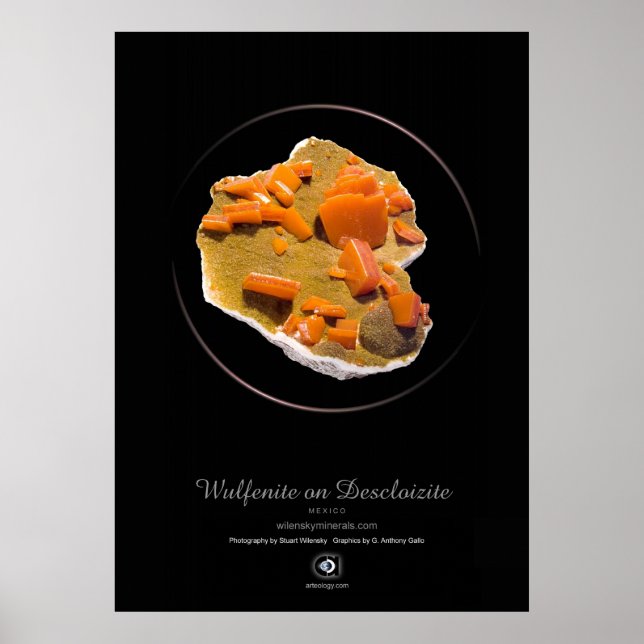 POSTER WULFENITE (Devant)