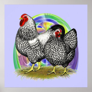 Poster Wyandotte : paire d'oeufs de Pâques