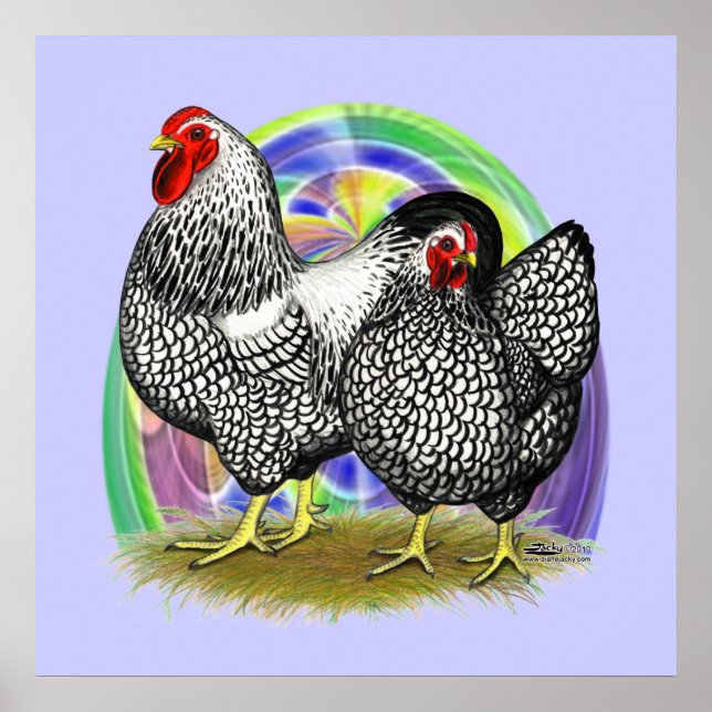 Poster Wyandotte : paire d'oeufs de Pâques (Devant)