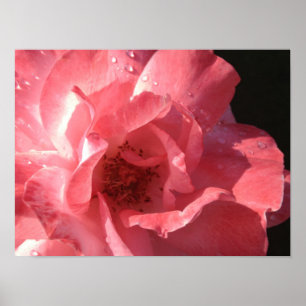 Poster X12 de l'affiche 16