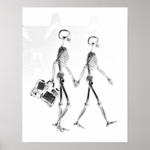 Poster - X-Ray Skeleton Couple Travelling Blk What