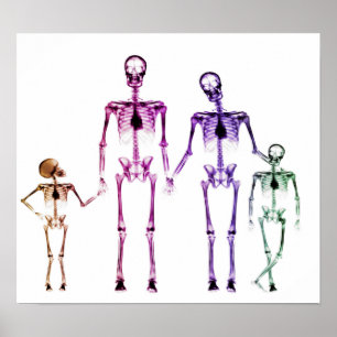 POSTER - X RAY SKELETON FAMILLE ORIGINAL BLANC