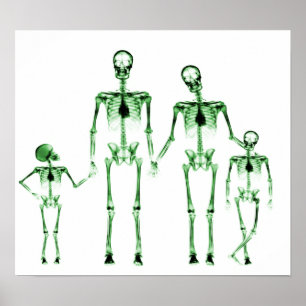 POSTER - X RAY SKELETON FAMILLE VERT BLANC DE LA F