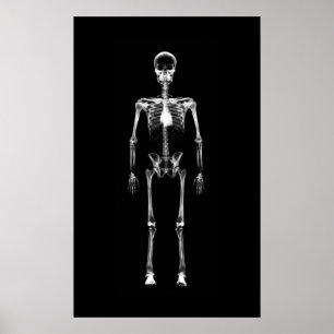 Poster - X-Ray Vision Single Skeleton Black White