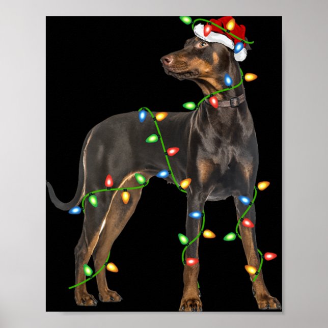 Poster Xmas Lights Santa Hat Doberman Nscher Dog Christ  (Devant)