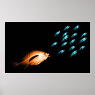 POSTER XRAY FISH CHASE ORIGINAL NOIR