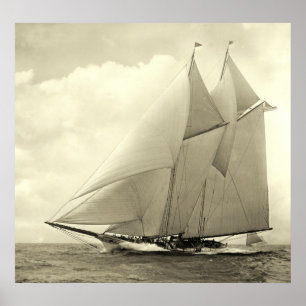 Poster Yacht 'America' 1910