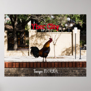 Poster Ybor City, Tampa FLORIDA
