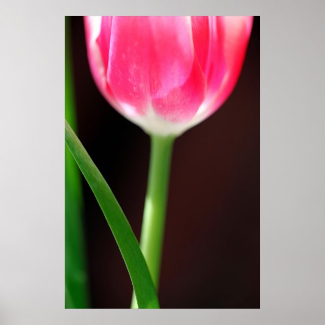 Poster Yearning (Devant)