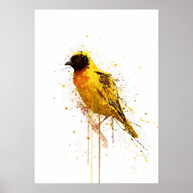 Poster Yellow-Backed Weaver Bird (Devant)