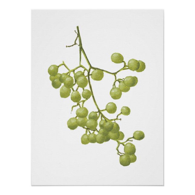 Poster Yellow peppercorns - Botanical Study 1 (Devant)