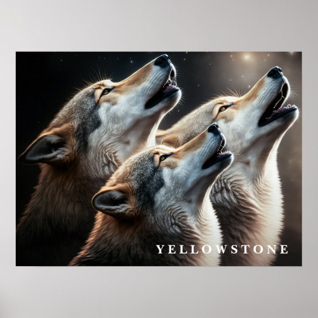 Poster Yellowstone Wolves (Vorne)
