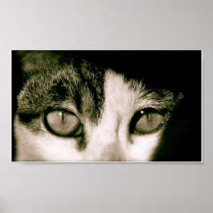 Poster Yeux
