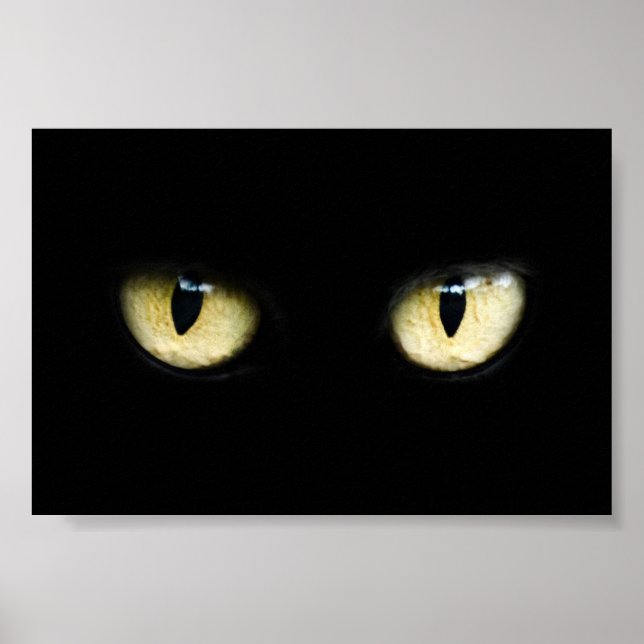 Poster Yeux de chat (Devant)