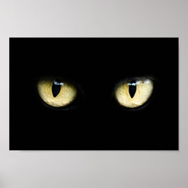 Poster Yeux de chat (Devant)