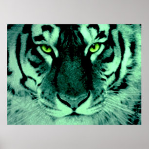 Poster Yeux de tigre