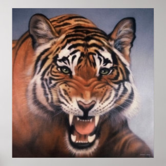 Poster Yeux du tigre