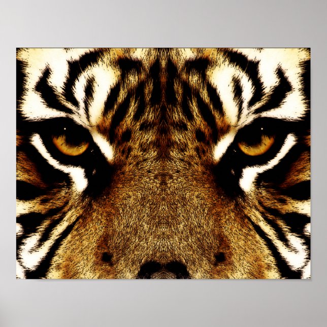 Poster Yeux d'un tigre (Devant)